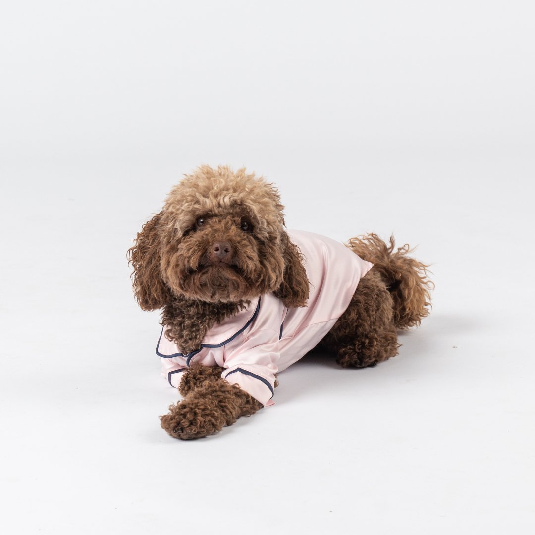 Satin Dog Pyjama Shirt Pink/Navy – Midnight Mischief Sleepwear