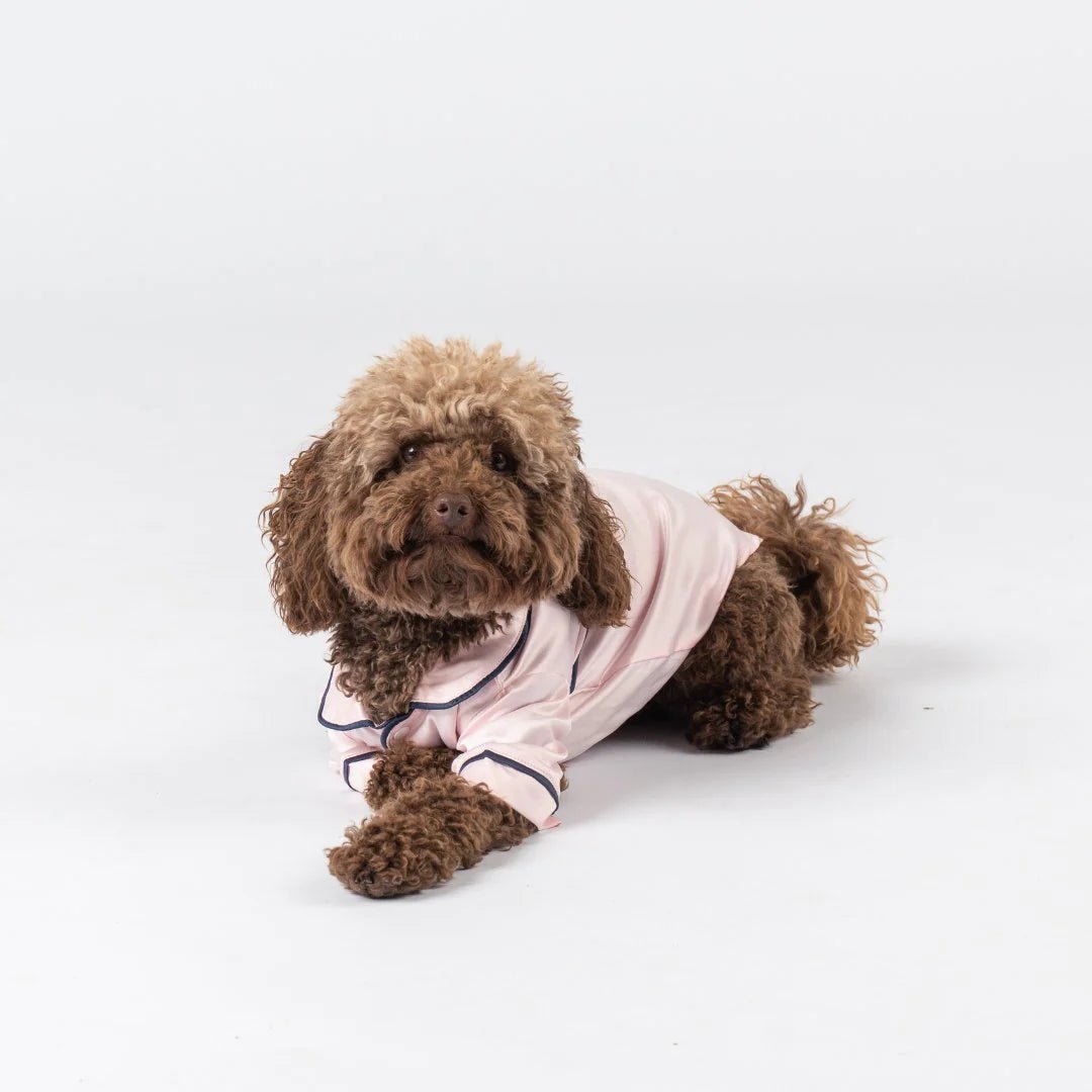 Pet Sleepwear - Midnight Mischief Sleepwear