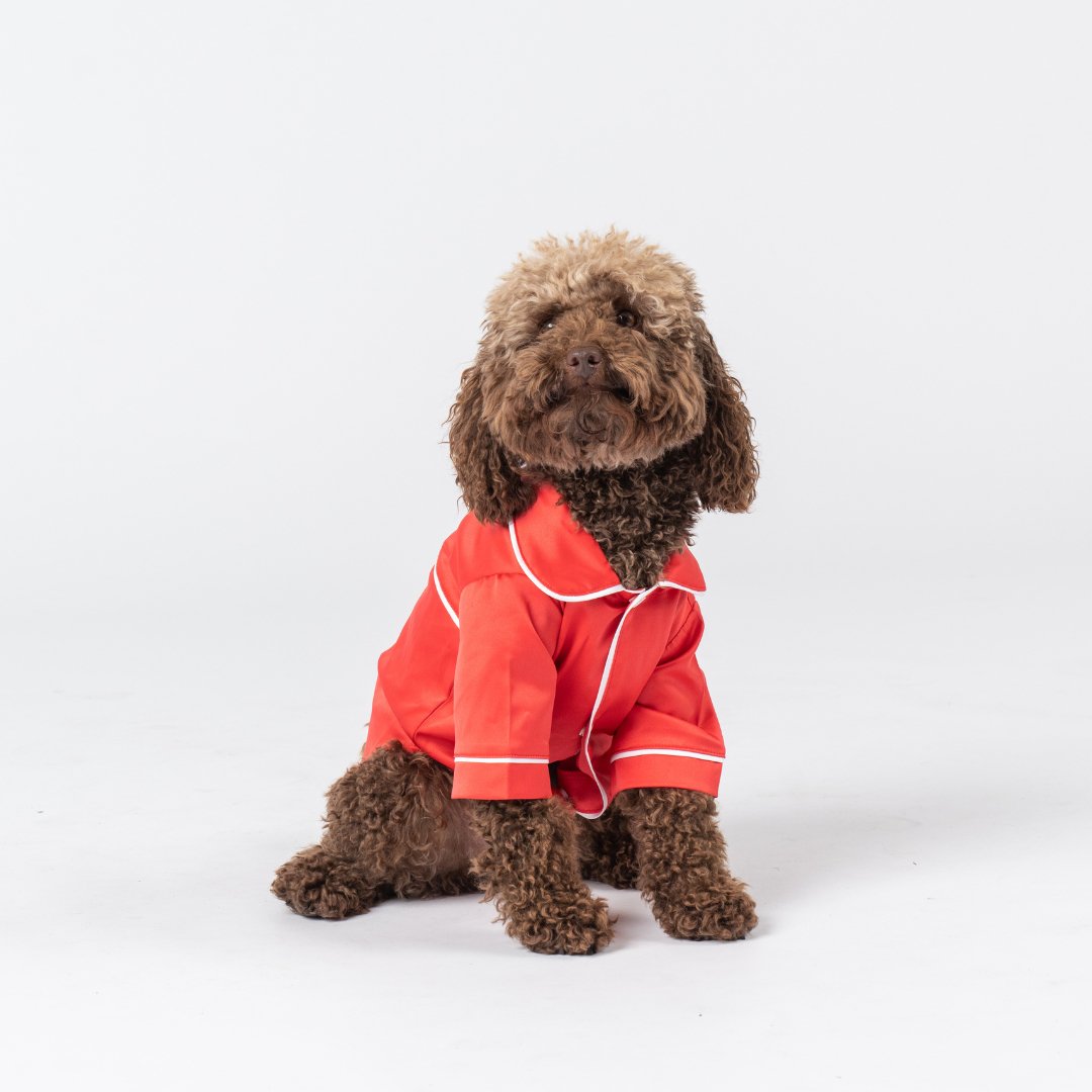 Satin Dog Pyjama Shirt - Red/White