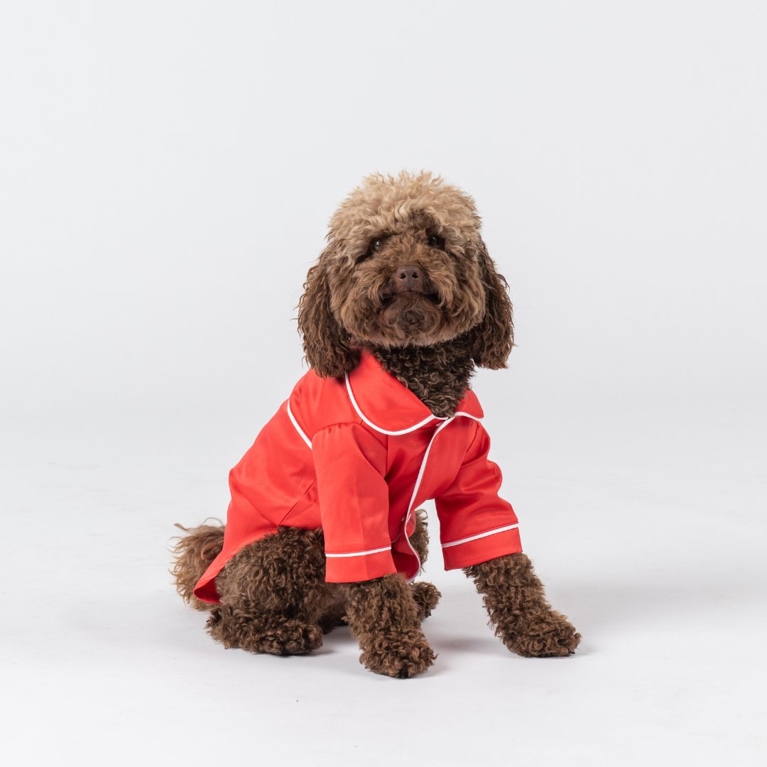 Satin Dog Pyjama Shirt - Red/White