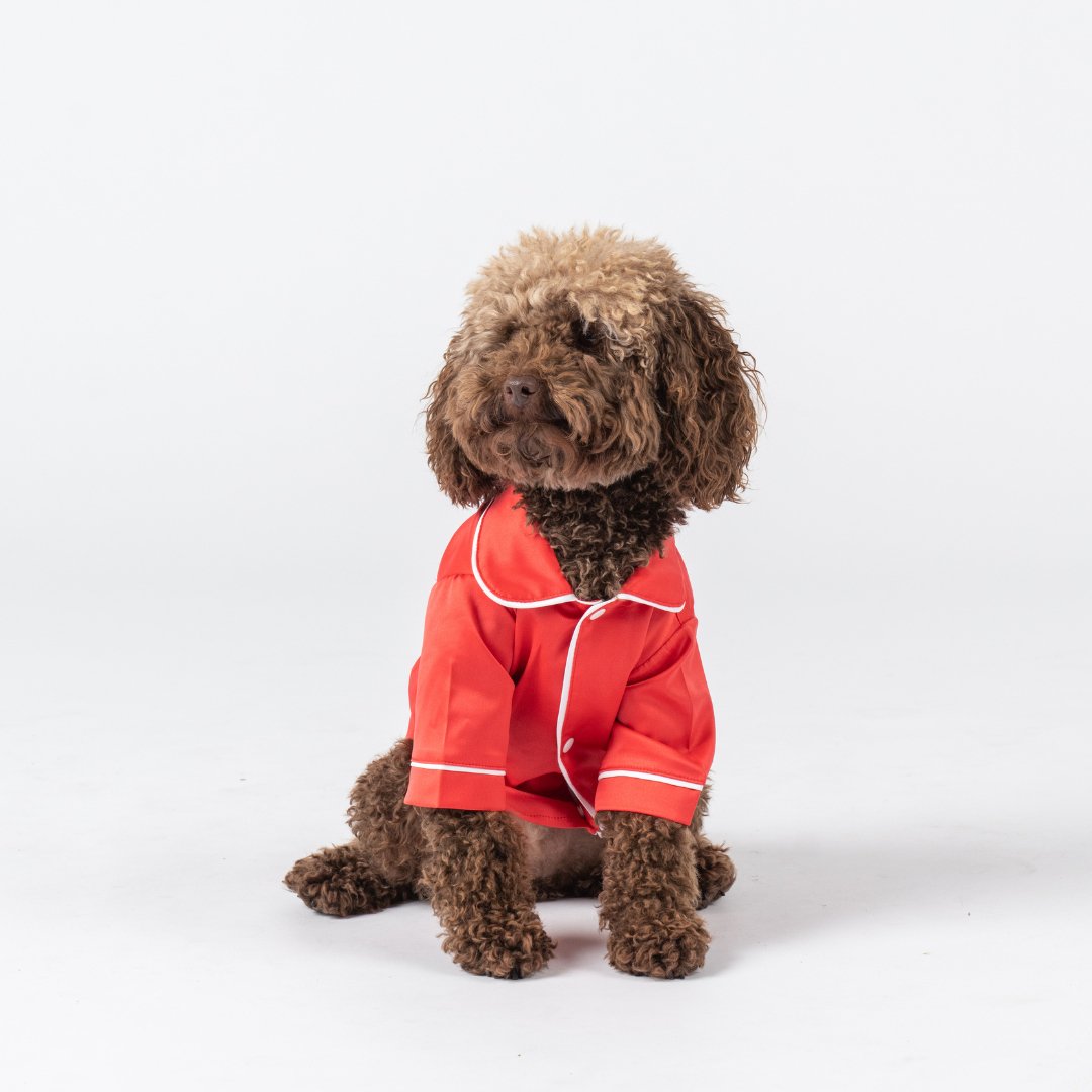 Satin Dog Pyjama Shirt - Red/White