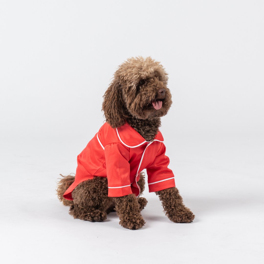 Satin Dog Pyjama Shirt - Red/White